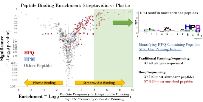 Figure 3-3    Peptide Binding Enrichment Results for Streptavidin Panning 