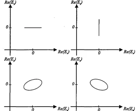 Fig.  2.3 - Solutions stationnaires  du modèle SFM: la  solution de la  figure  (a)  est  polarisée