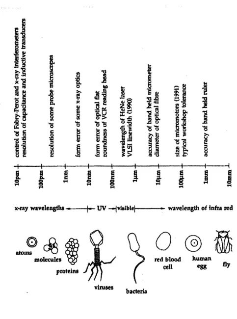Figure 2.1  Scale  bar comparing  relative sizes  of common  objects.[Al]