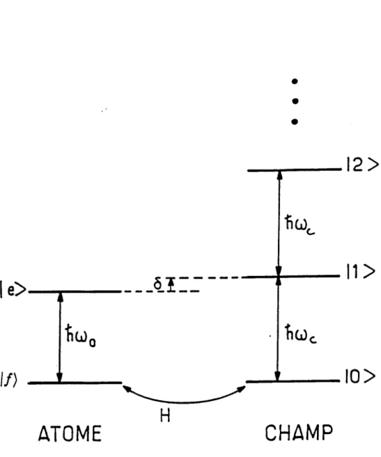 FIG.  1.1 -  Interaction  de  l’atome  à  deux  niveaux avec  le  mode du  champ électromagnétique