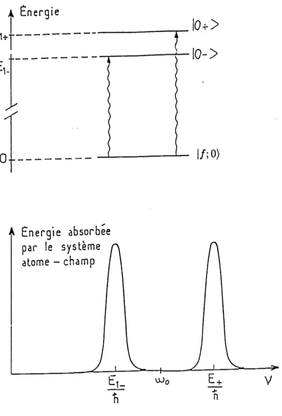 FIG.  1.3 -  Spectre  d’absorption  de  l’énergie  par le  système  atome-champ  à