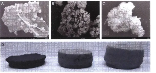 Figure  2.8.  SEM  Micrographs  of graphene  phosphate  produced  from  a  LiBr  loading  of A