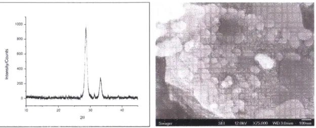 Figure  2.10.  PXRD diffractograrn  and  SEM  image  of CuCeOGraphene.  The  PXRD  peak match  what  is expected  for a CuO/CeO 2  nanoparticle  composition
