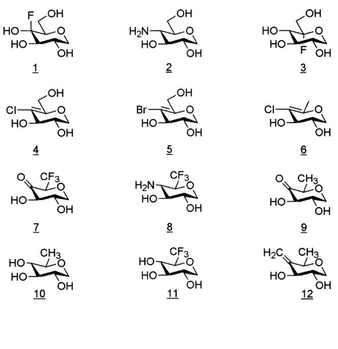 Figure  13. The twelve  putative  inhibitors designed  for RmlB.