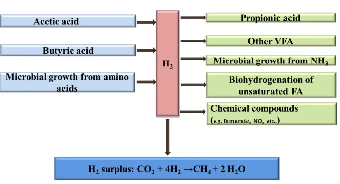 Figure  2  Schematic  representation  of  the  main  driving  variables  for  H 2   excess  and  methanogenesis