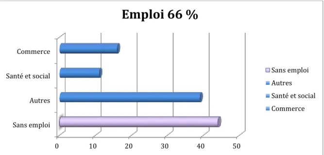 Figure 6 : Activité professionnelle : répartition des catégories professionnelles  (%) 
