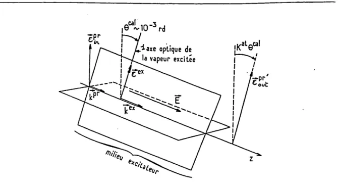 FIG.  2.16:  Calibration  de  l’effet  PV  par  une  rotation  contrôlée  03B8 cal de  la  polarisation