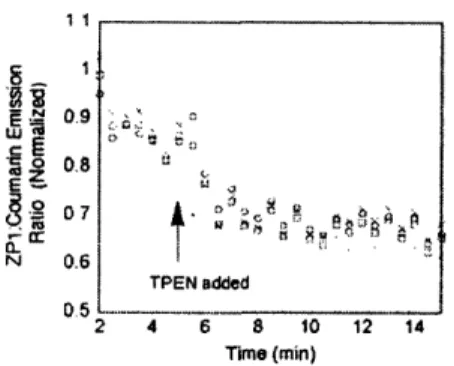 Figure 6.  l'PEN  decrears.  itlensity  ratios of ZPI  emtissioa  divided y c.mmallllr  emission  in  (.2-stained iteL.a  cells witlllut exogenously  added /mll