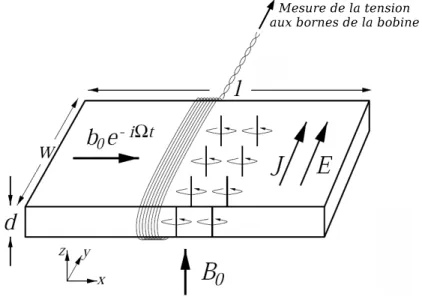 Fig. 1.22 : Géométrie de la mesure effectuée par N. Lütke-Entrup et al.. Source : [68].