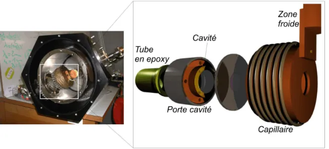 Figure 2.2: A gauche : photographie de l’int´erieur du cryostat. A droite : sch´ema de l’int´erieur du cryostat.