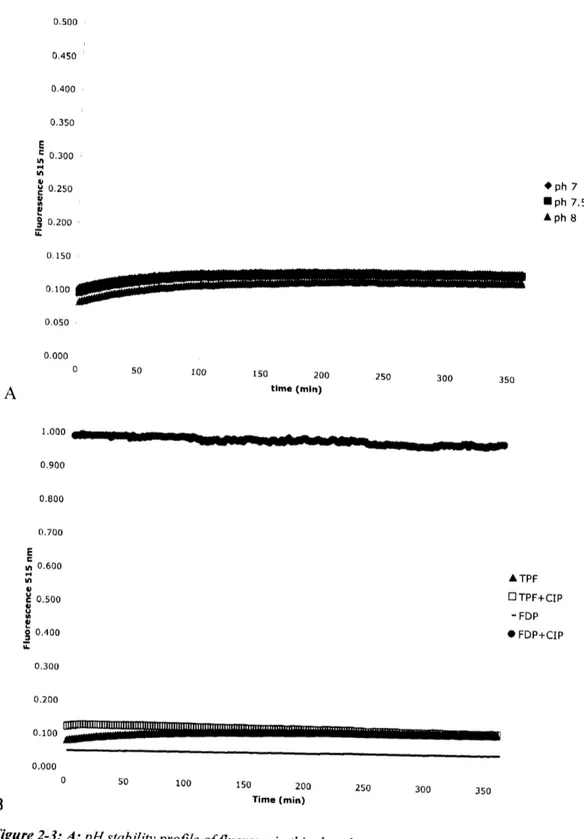 Figure 2-3: A: pH  stability profile offluorescein  thiophosphates monitored  at 2 min intervals.