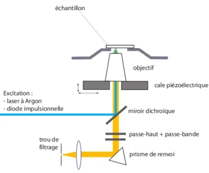 Fig. 2.3: Dispositif de microscopie confocale. Un objectif de forte ouverture num´ erique permet de focaliser la lumi` ere d’excitation provenant d’un laser