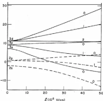 Figure 22 : Levée de dégénérescence des niveaux en présence d’un champ électrique. 