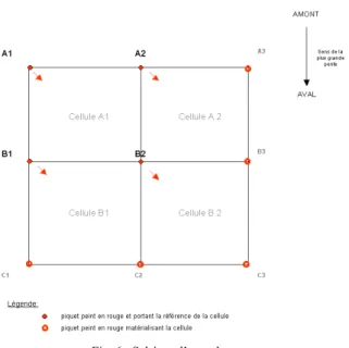 Fig. 6 : Schéma d’une placette