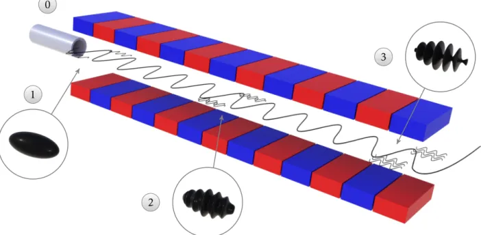Figure 2.3 – Principe du laser à électrons libres. L’échelle n’est pas respectée.