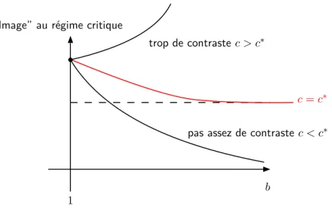 Fig. 2.11: Réglage du contraste c tel qu’au régime critique on observe avec le mégascope l’invariance d’échelle, i.e