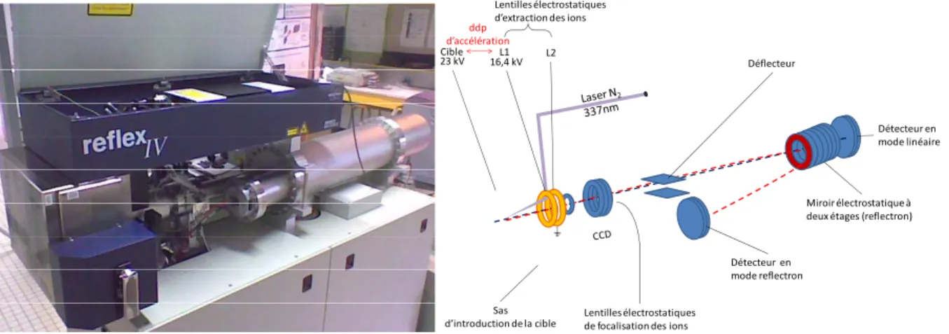 Figure 17 : schéma de l’analyseur TOFMS utilisé au cours de cette étude   (Bruker Reflex IV) 