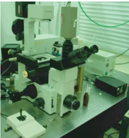 Fig. 2.3 – Sch´ema du dispositif op- op-tique utilis´e pour ´etirer les mol´ecules d’ADN et les observer.