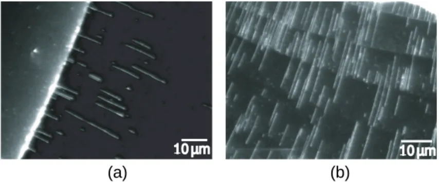 Fig. 2.6 – Peignage d’ADN par ´evaporation de microgouttes, `a moyenne (a) et forte (b) concentrations d’ADN, sur des lames de verre recouvertes de polystyr`ene.