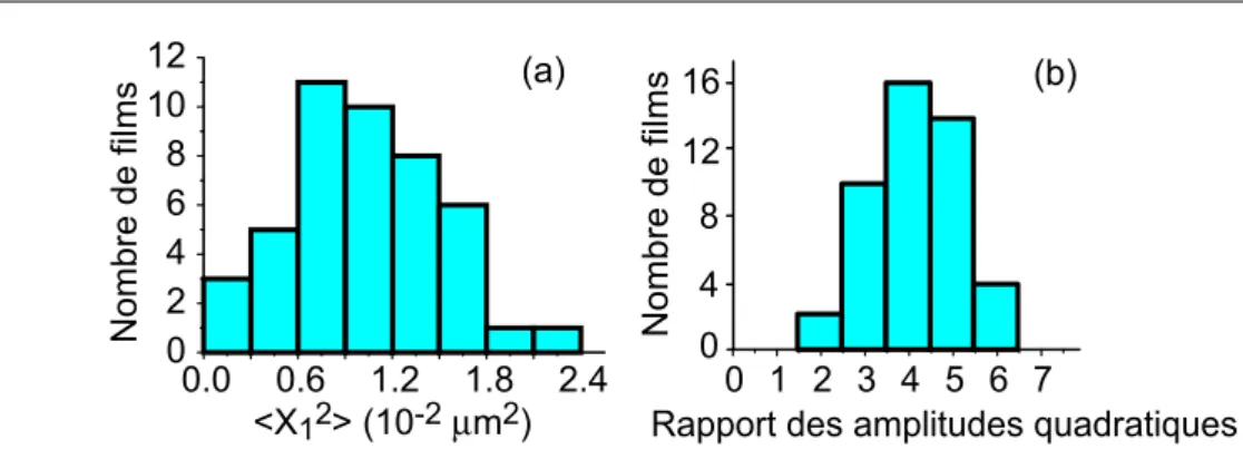 Fig. 2.19 – (a) Distribution des amplitudes quadratiques pour le mode p=1 et (b) distribution du rapport des amplitudes quadratiques < X 1 2 > / < X 2 2 >.