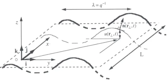 Fig. I.9 – Représentation schématique d’une membrane plane soumise à des fluc- fluc-tuations avec les coordonnées et variables géométriques que nous utiliserons (d’après [Manneville, 1999]).