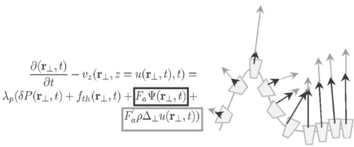 Fig. I.20 – Représentation schématique des deux derniers termes de l’équation de perméation : la force active non-dépendante (avant dernier terme) et dépendante (dernier terme) de la courbure.