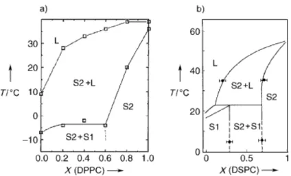 Figure  I-20. Diagrammes de phase de DLPC/DPPC (a) et DMPC/DSPC (b). Il existe une  différence de quatre groupes CH 2  entre chaque type lipidique dans chacun des mélanges