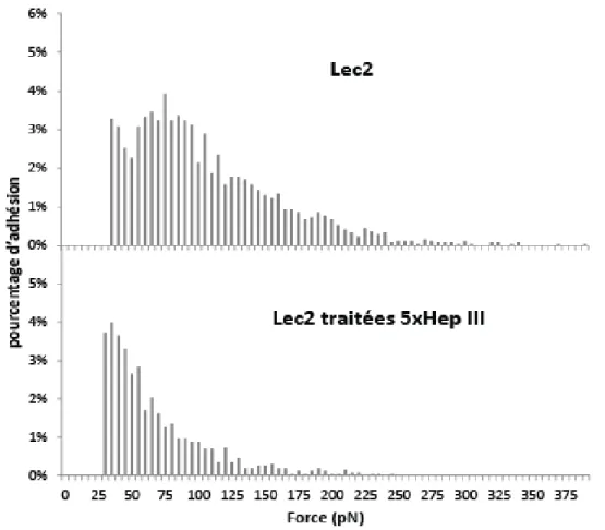 Figure II-11 : Histogramme des forces enregistrées sur les Lec2 en fonction des traitements enzymatiques