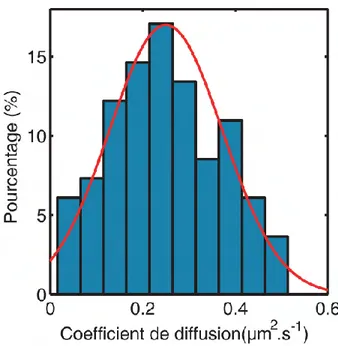 Fig. 2.9 – Distribution des coefficients de diffusion dans la zone centrale (n=115)