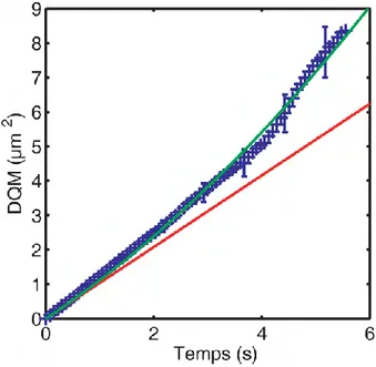 Fig. 2.12 – Moyenne d’ensemble du déplacement quadratique moyen dans la zone centrale