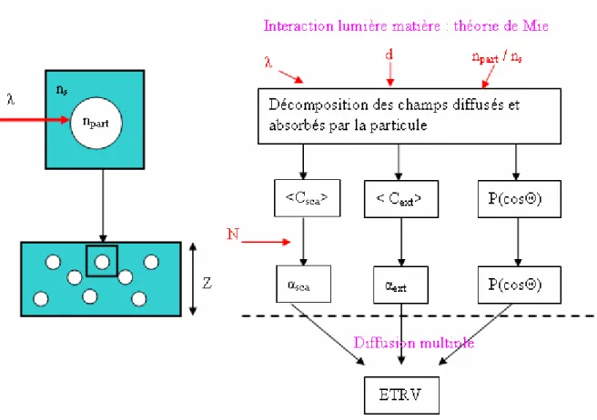 Figure 2.6 : Diagramme présentant les premières étapes de calcul pour l’établissement de l’ETRV dans une 