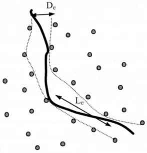 Fig. I.17: Tube de reptation pour un filament d’actine dans un gel (extrait de [Le Goff, 2002]).