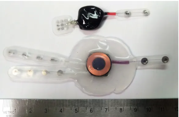 Figure 2-12: Coated Implant Devices. Epoxy coated 1 (top), Parylene/Silicone coated (bottom).