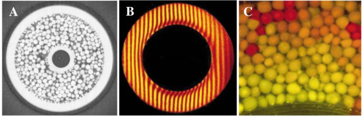 Figure 1: Expérience d’écoulement granulaire en cellule de Couette cylindrique. (A) image par tomographie X d’une tranche  au sein de la cellule, permettant d’évaluer les profils radiaux de densité de grains