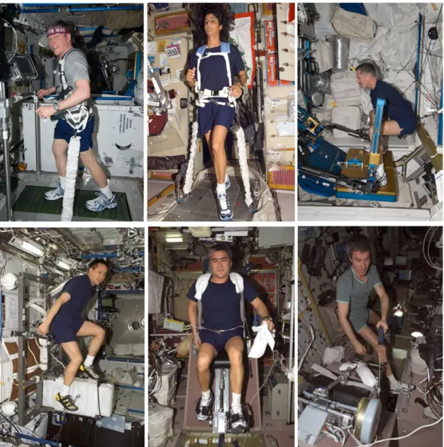 Figure 2- ISS exercise machines (top left to bottom right): T2/COLBERT, TVIS, ARED, CEVIS, VELO ergometer, VELO ergometer  used with arm cable (NASA) 