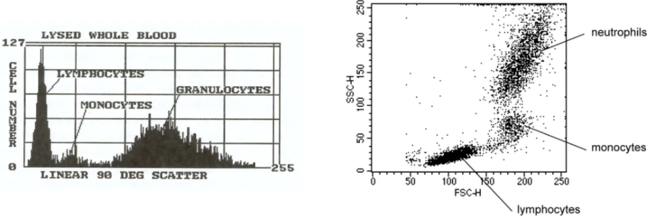 Fig. 1.6 – Gauche : Histogramme de diffusion sur le coté pour un échantillon sanguin. On isole trois populations d’intensités de diffusion différentes