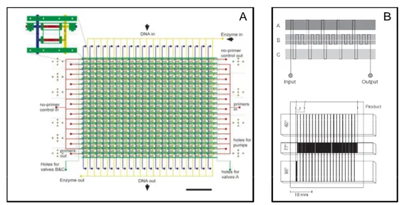 Fig. 2.5 – A : Exemple de système hautement parallèle de PCR en microchambre (400 réactions simultanées, d’après Liu et al