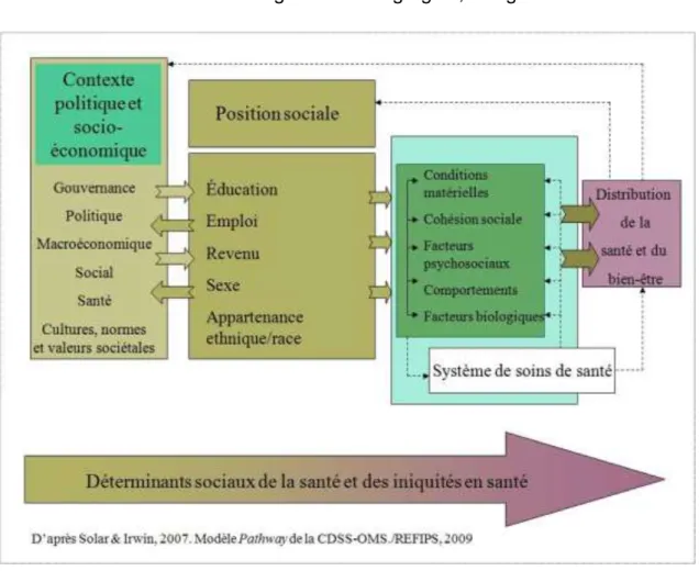 Figure  9 :  Contexte  socio-économique  |  Déterminants  structurels  |  Déterminants  intermédiaires 