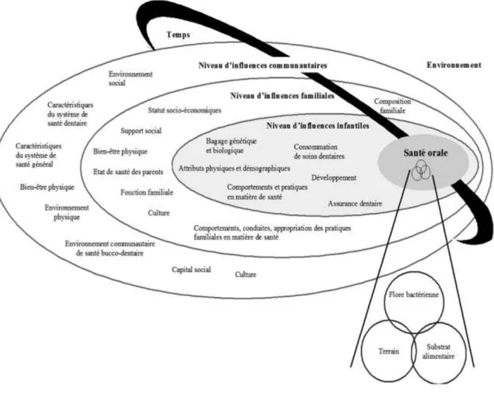 Figure 11 : Fisher-Owens and al. 2007 