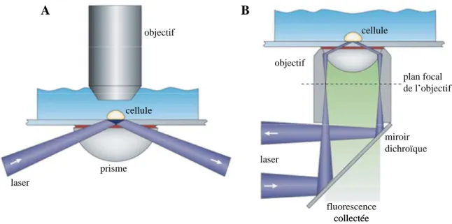 Figure 15 : Les deux catégories de montage utilisées en microscopie à onde évanescente