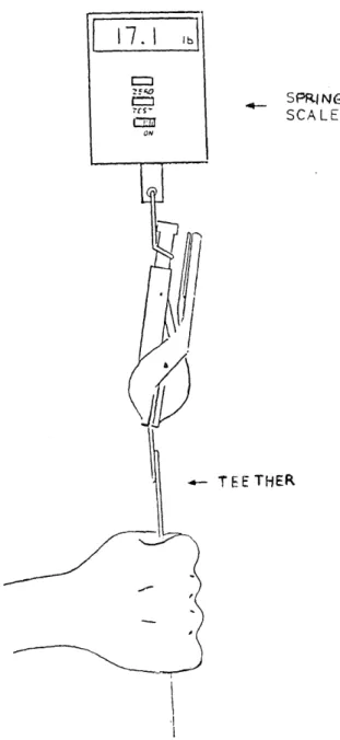 Figure  Eight.  The  Pull  Test.