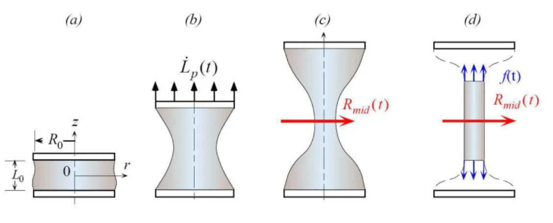 Fig. 1.II.3 – Principe et Notations utilisées pour l’expérience d’élongation d’un filament entre deux disques