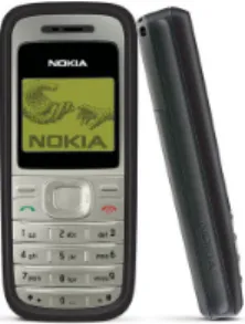 FIGURE 1. The Nokia 1100, one of the most popular entry-level phones sold by Nokia.