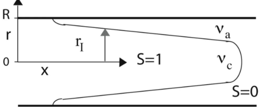 Fig. 4.1 – Schéma représentant un doigt de fluide de coeur poussant le fluide annulaire.