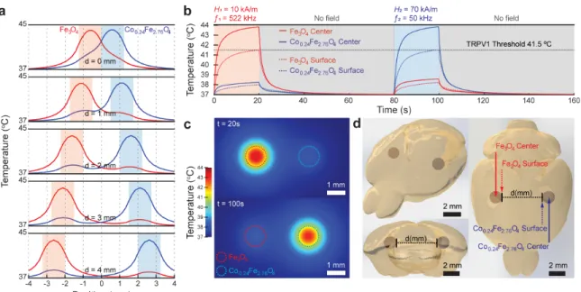 Figure 3-6: Temperature distribution for the two multiplexed ferrofluid droplets injected within the brain tissue and exposed to the tailored AMF conditions