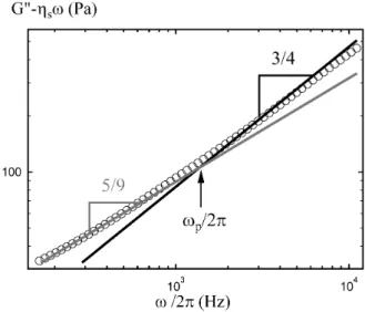 Figure II.14 – Variation du module visqueux à hautes fréquences déduit du spectre des fluctuations sans la contribution du solvant, G 00 η s ω (cercles vides)