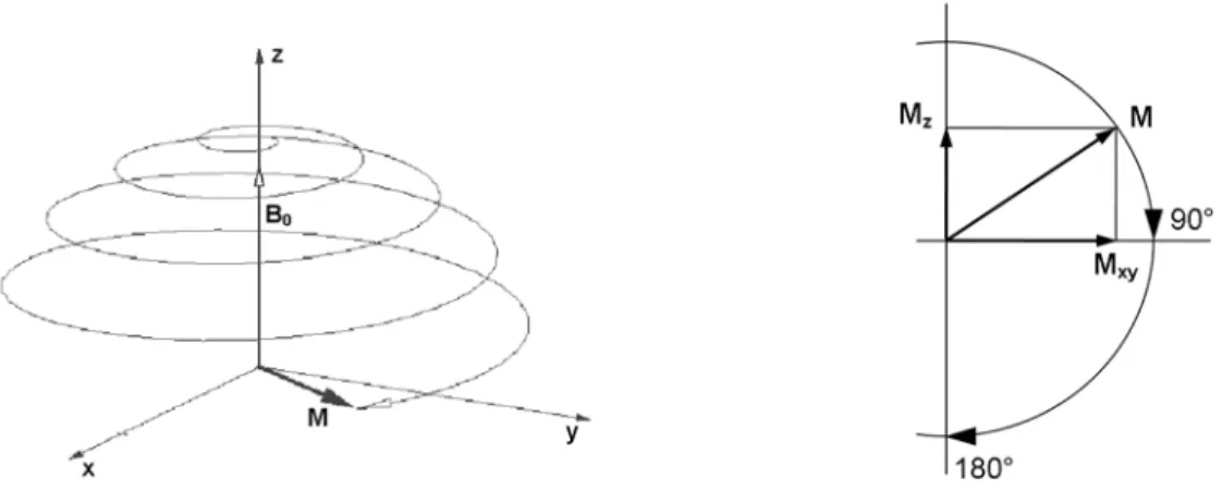 Fig. 2.9 – Phénomène de résonance : conséquence pour le vecteur M résultant des moments magné- magné-tiques µ 