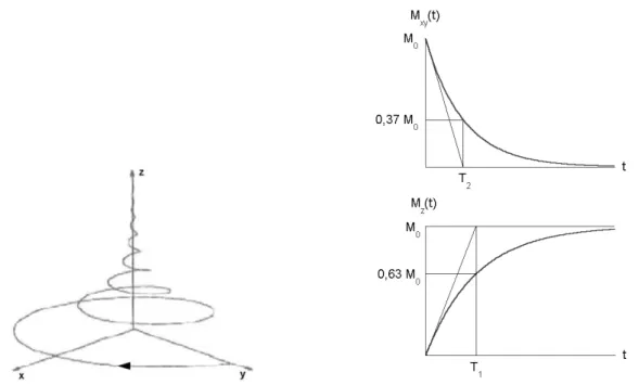 Fig. 2.10 – Trajectoire de l’extrémité du vecteur résultant M lors de la relaxation, c’est-à-dire à l’arrêt de l’onde électromagnétique à l’origine de la résonance (à gauche)