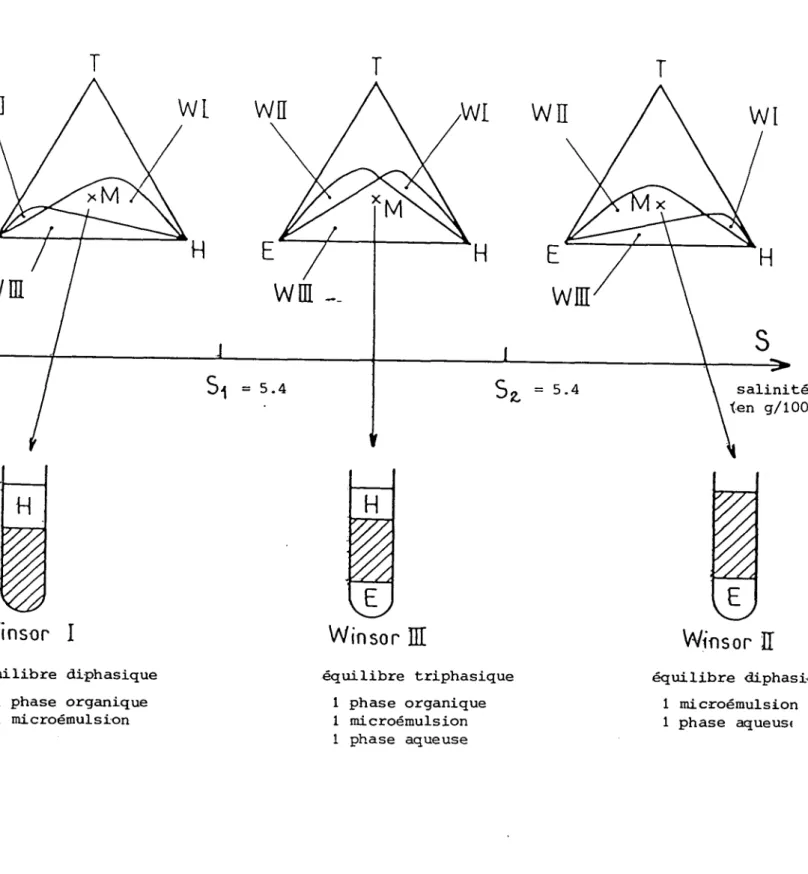 Figure  M7 :  Evolution  du  diagramme  de  phase  modèle  de  Winsor  en  fonction