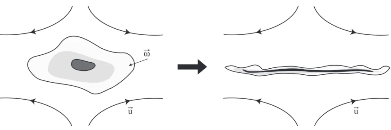 Fig. 1.6: Filamentation d’un patch de vorticité dans la cascade d’enstrophie.